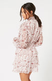 Melanie Chiffon Mini Dress - Harvest Beauty