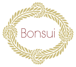 Bonsui Logo and collection at Harvest Beauty
