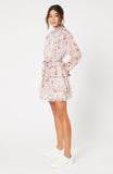 Melanie Chiffon Mini Dress - Harvest Beauty